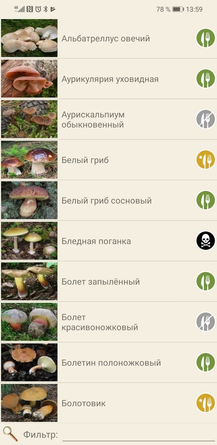 Приложения для грибников, грибы: справочник
