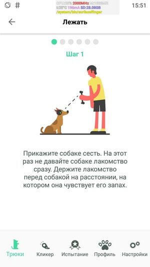 Интересные мобильные приложения для кошек и собак