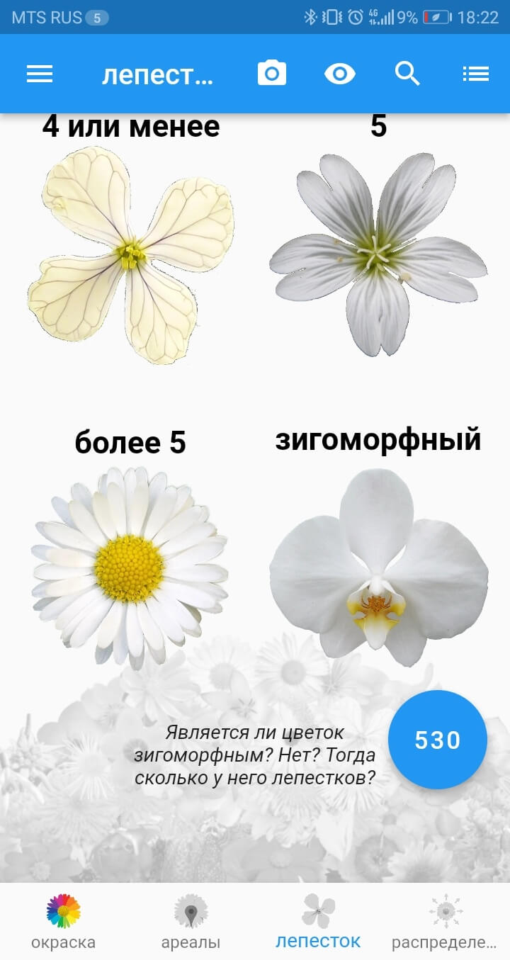 «Что это за цветок»?